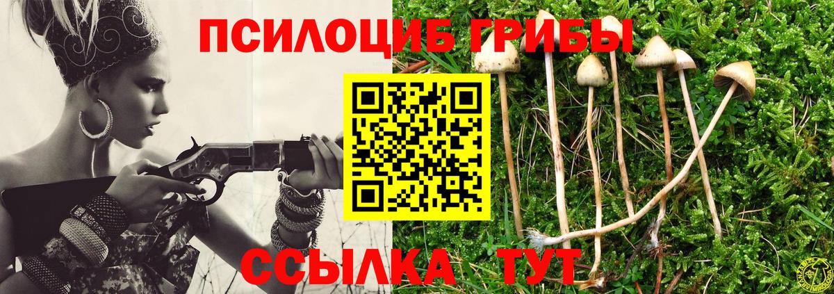 Котовск  Псилоцибиновые грибы MAGIC MUSHROOMS  Вход с VPN 