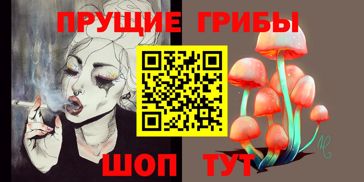 Псилоцибиновые грибы Cubensis Котовск